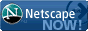 Netscape ŐVł͂炩