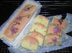 炤